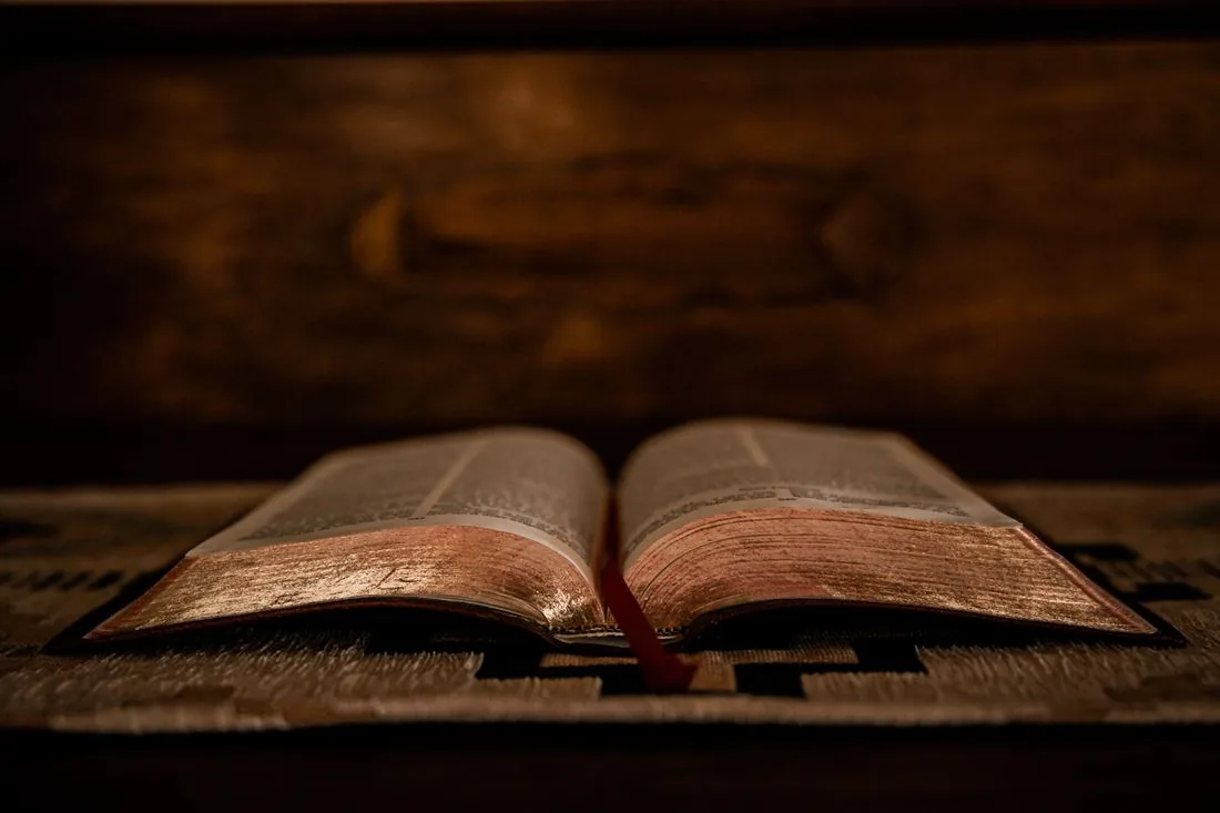 An open book in warm light